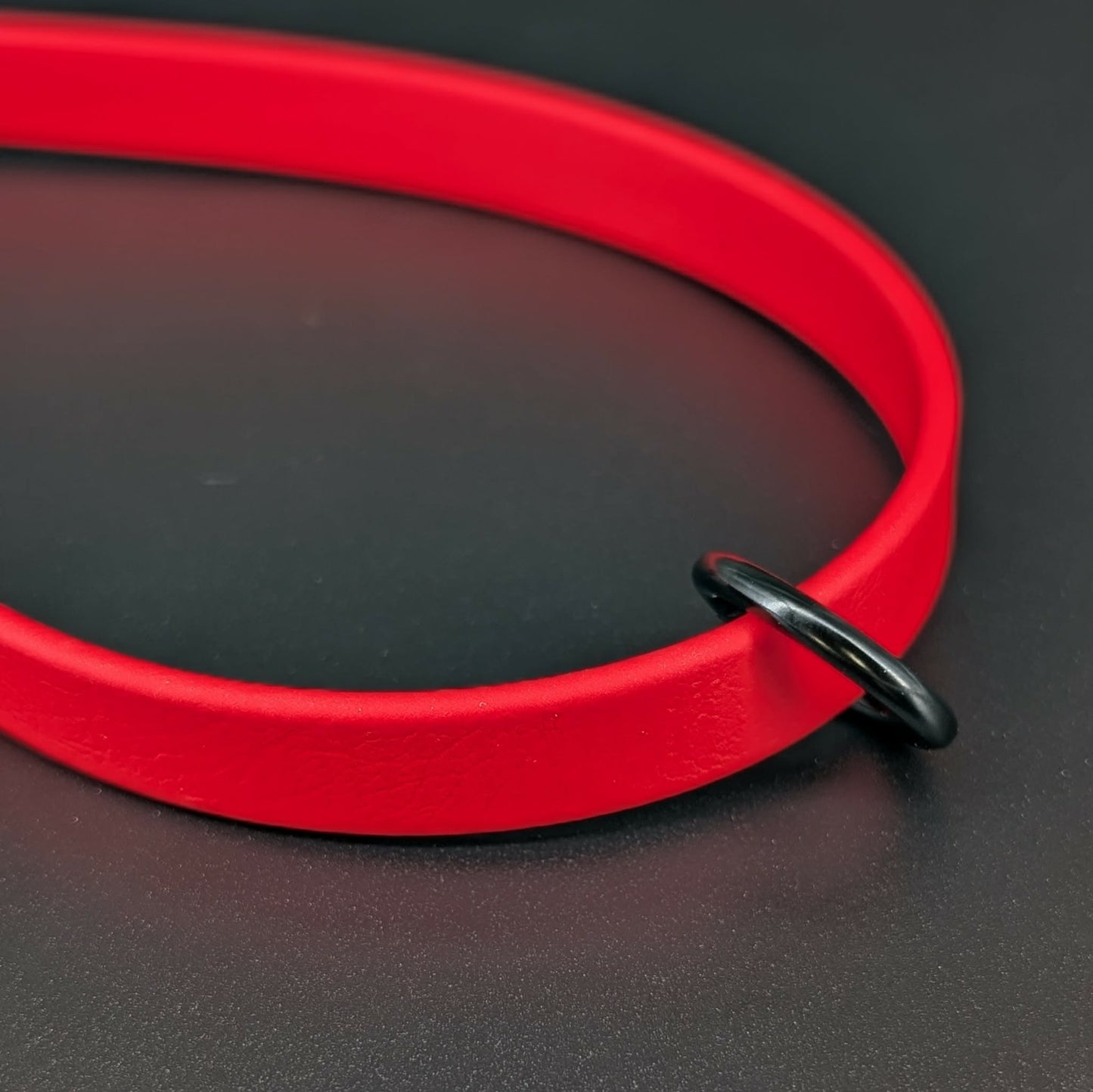 red biothane traffic handle with black o ring