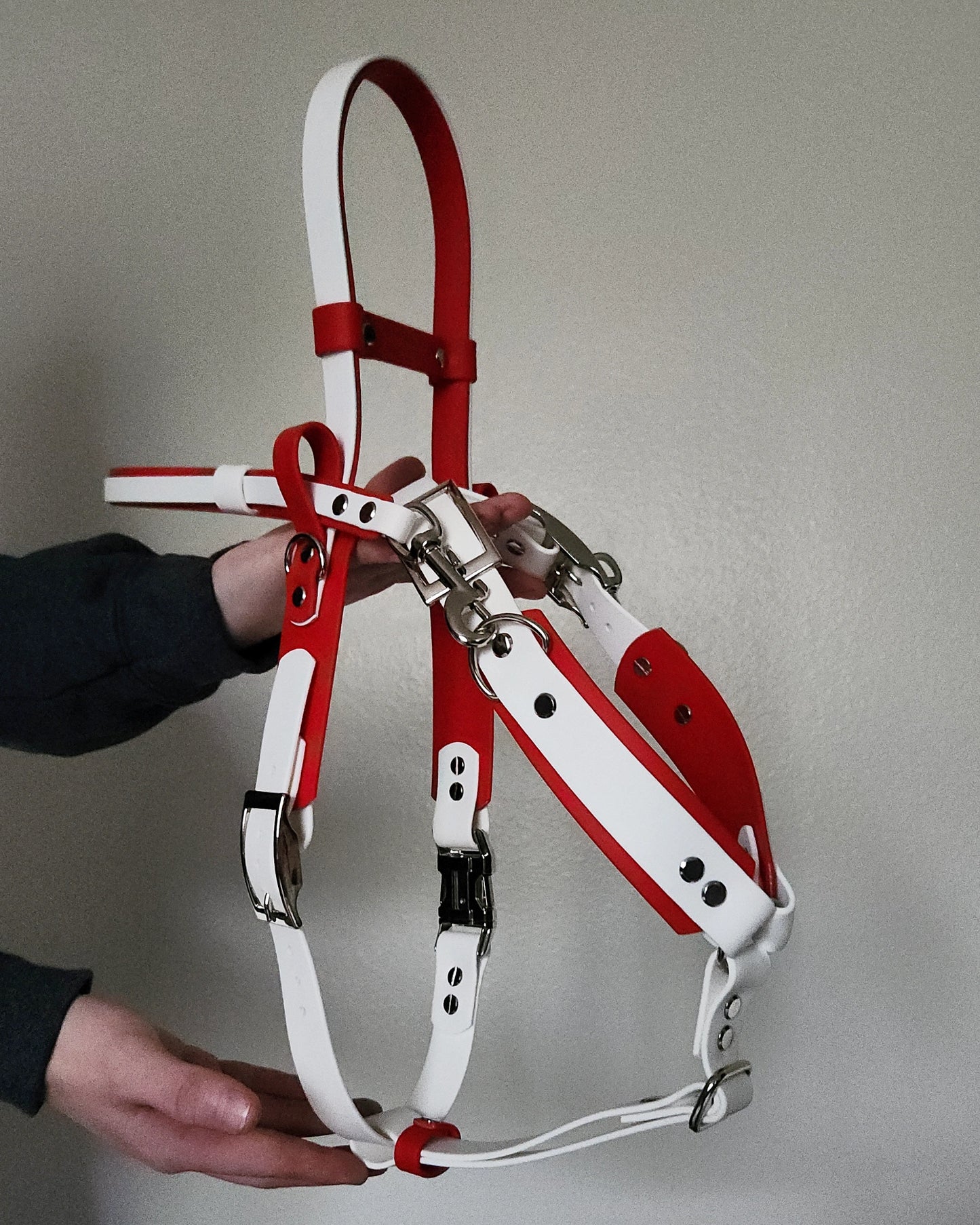 red and white biothane y-front service dog harness with built-in counterbalance handle and detachable pull strap