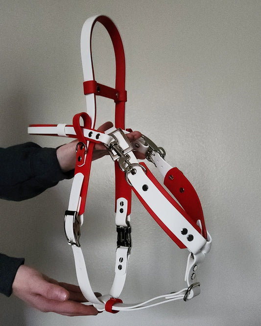 red and white biothane y-front service dog harness with built-in counterbalance handle and detachable pull strap