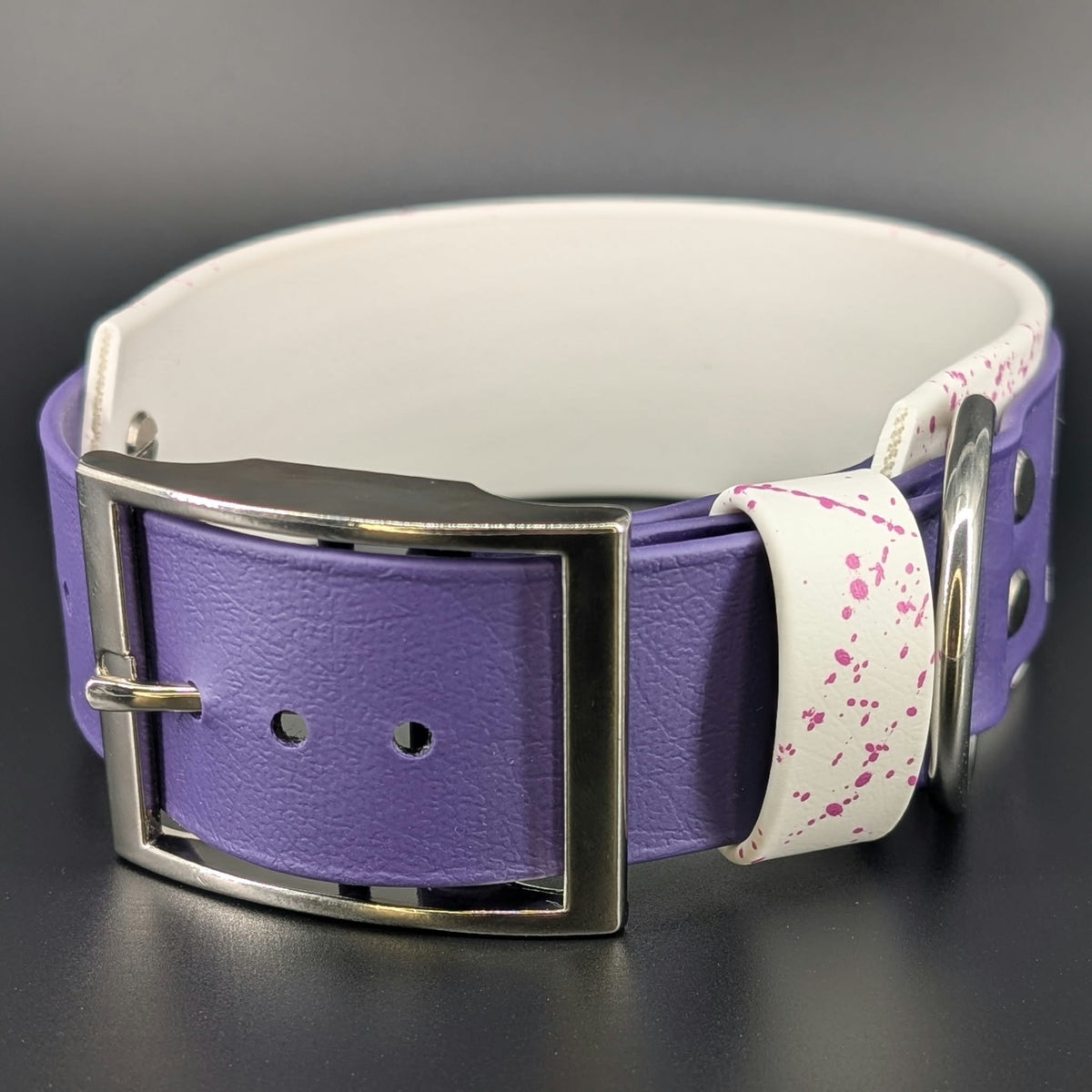 Ready to Ship - White and Dark Purple Layered Biothane FUCK AROUND AND FIND OUT Collar, 2 inch wide 15 - 18 inch neck
