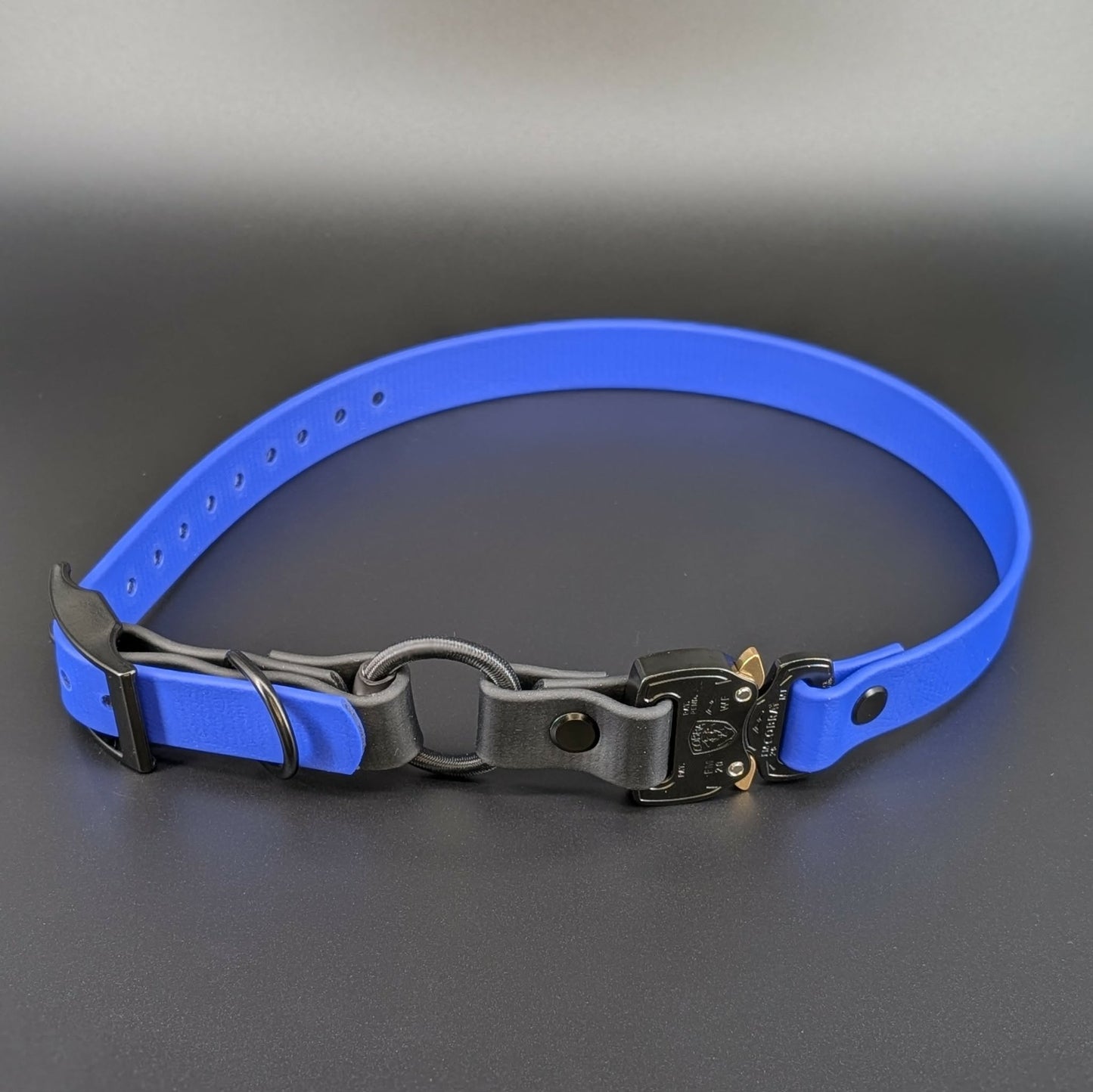 royal blue and black biothane e-collar strap with bungee and quick release cobra buckle