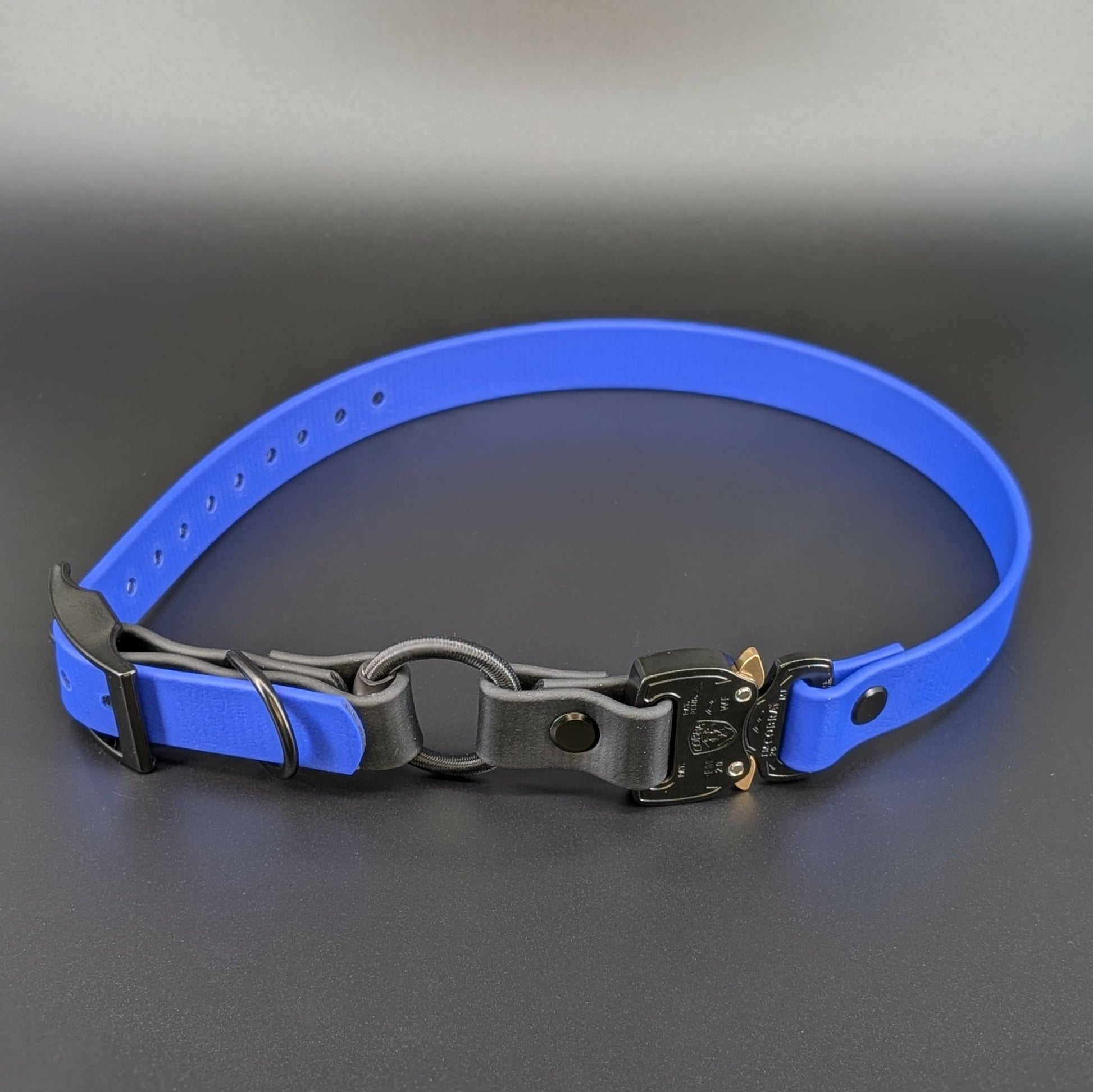 royal blue and black biothane e-collar strap with bungee and quick release cobra buckle