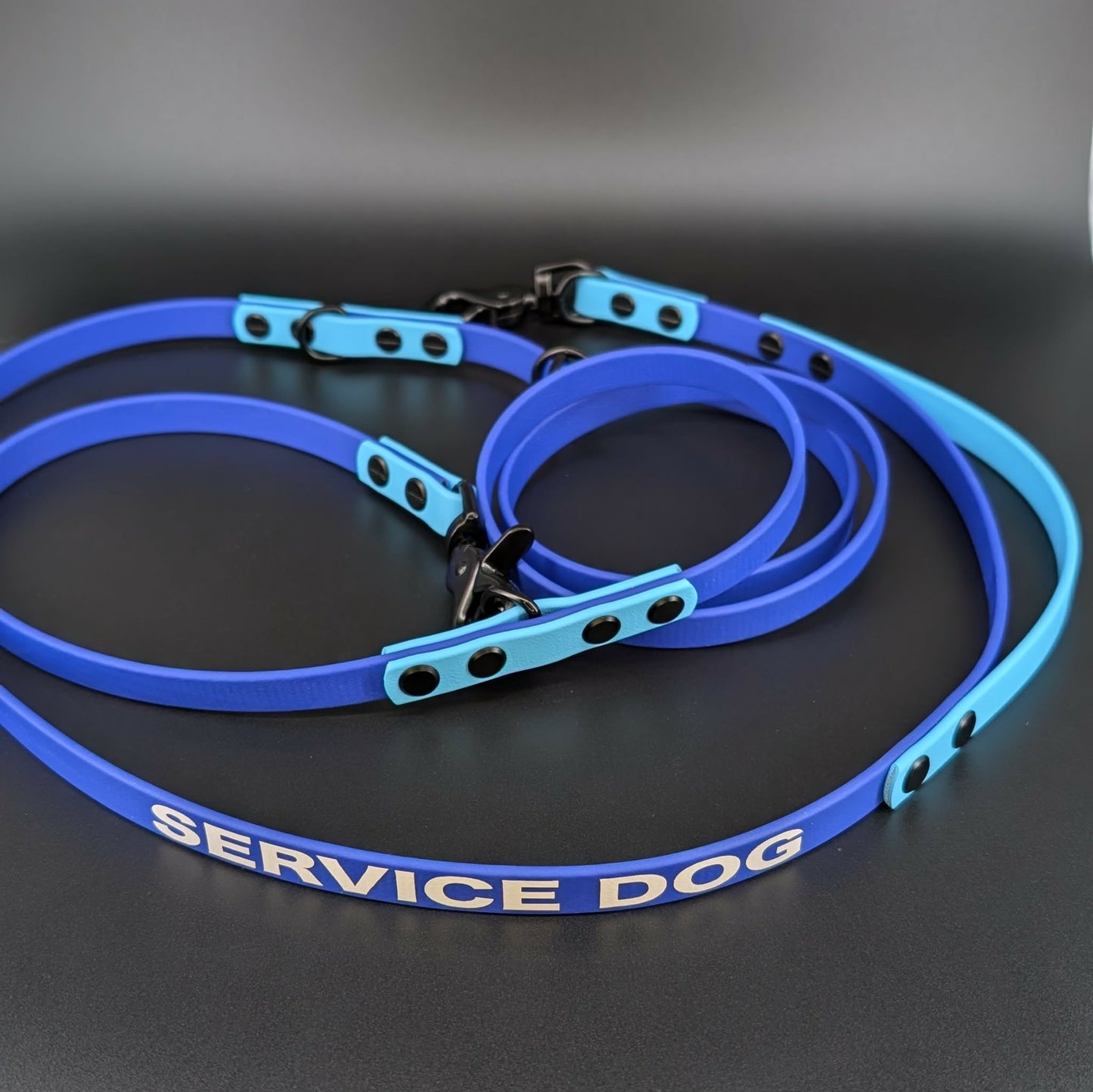 royal blue and light blue biothane hands free dog leash with traffic handle and service dog text