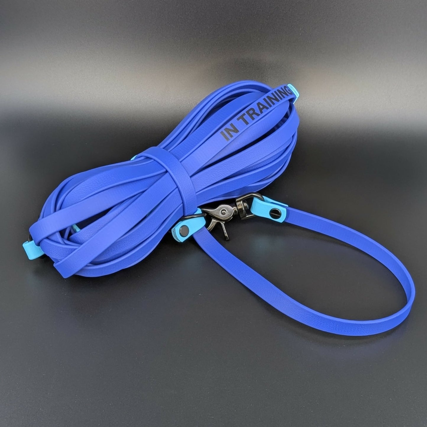 royal blue and light blue biothane long line holder