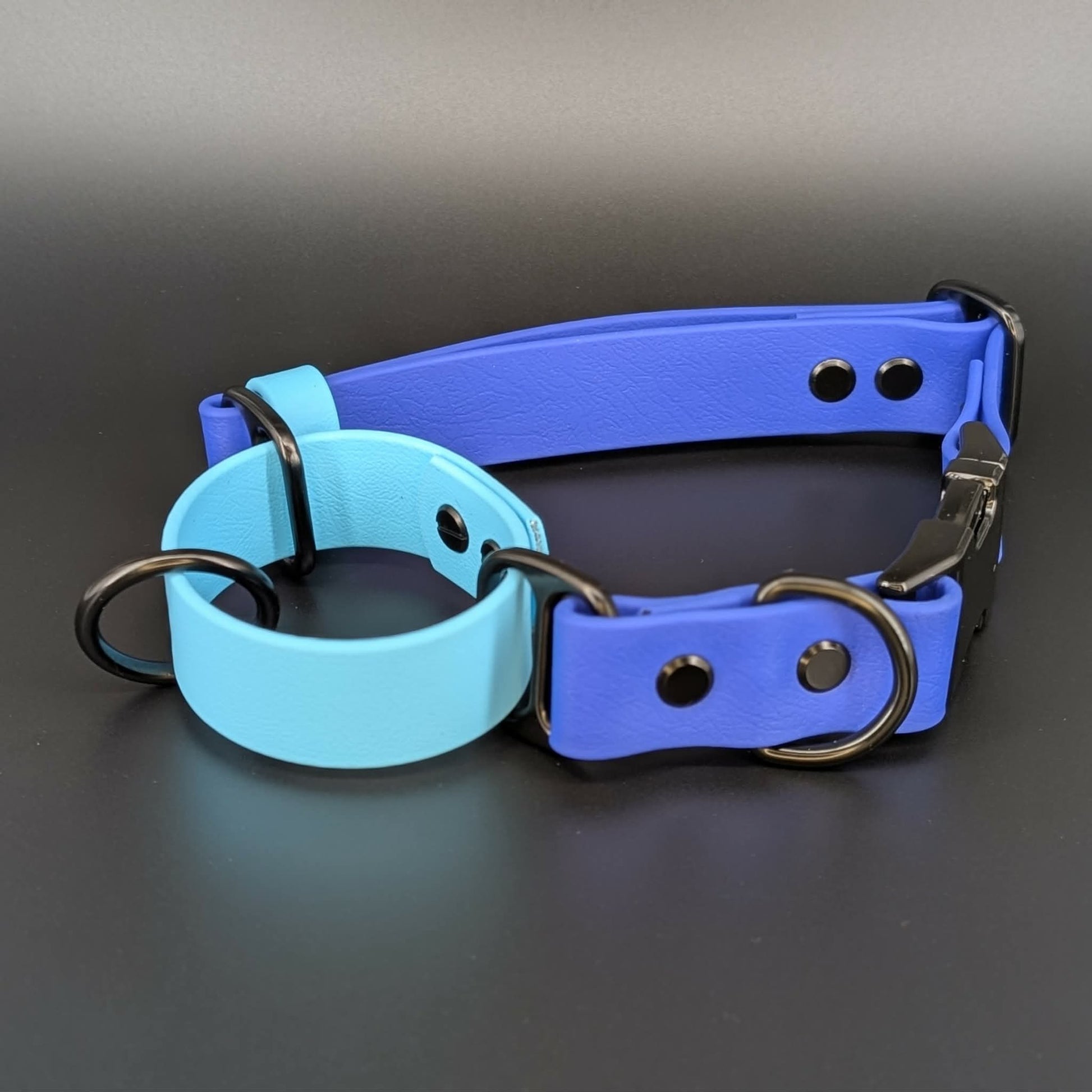 royal blue and light blue biothane martingale dog collar adjustable with quick release buckle