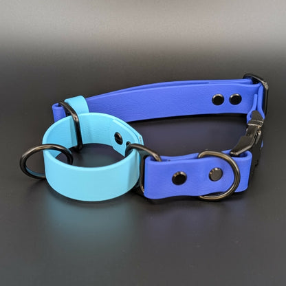 royal blue and light blue biothane martingale dog collar adjustable with quick release buckle