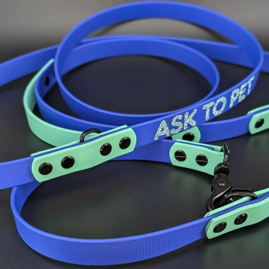 royal blue and mint green biothane hands free dog leash with built in traffic handle and personalized text