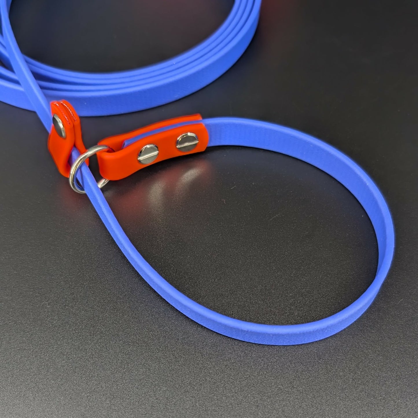 royal blue and orange biothane slip