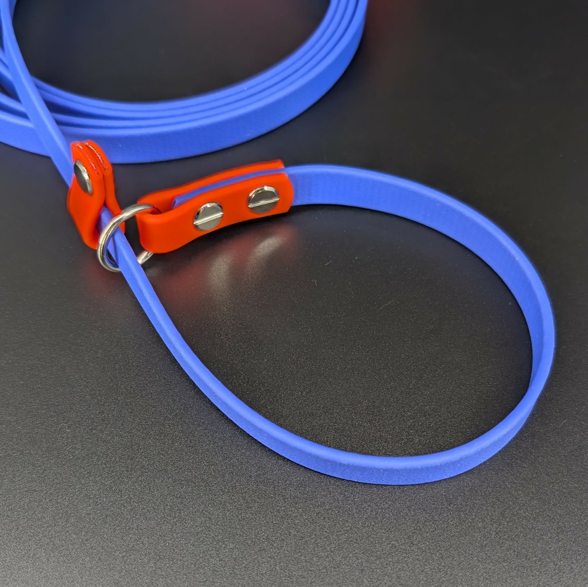 royal blue and orange biothane slip