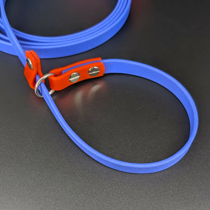 royal blue and orange biothane slip