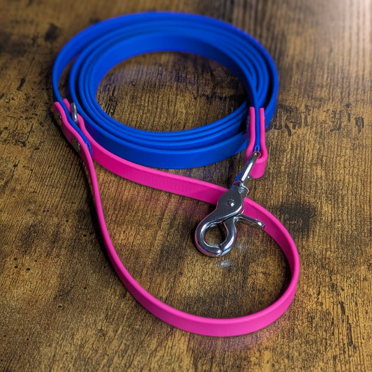 royal blue and pink biothane dog leash
