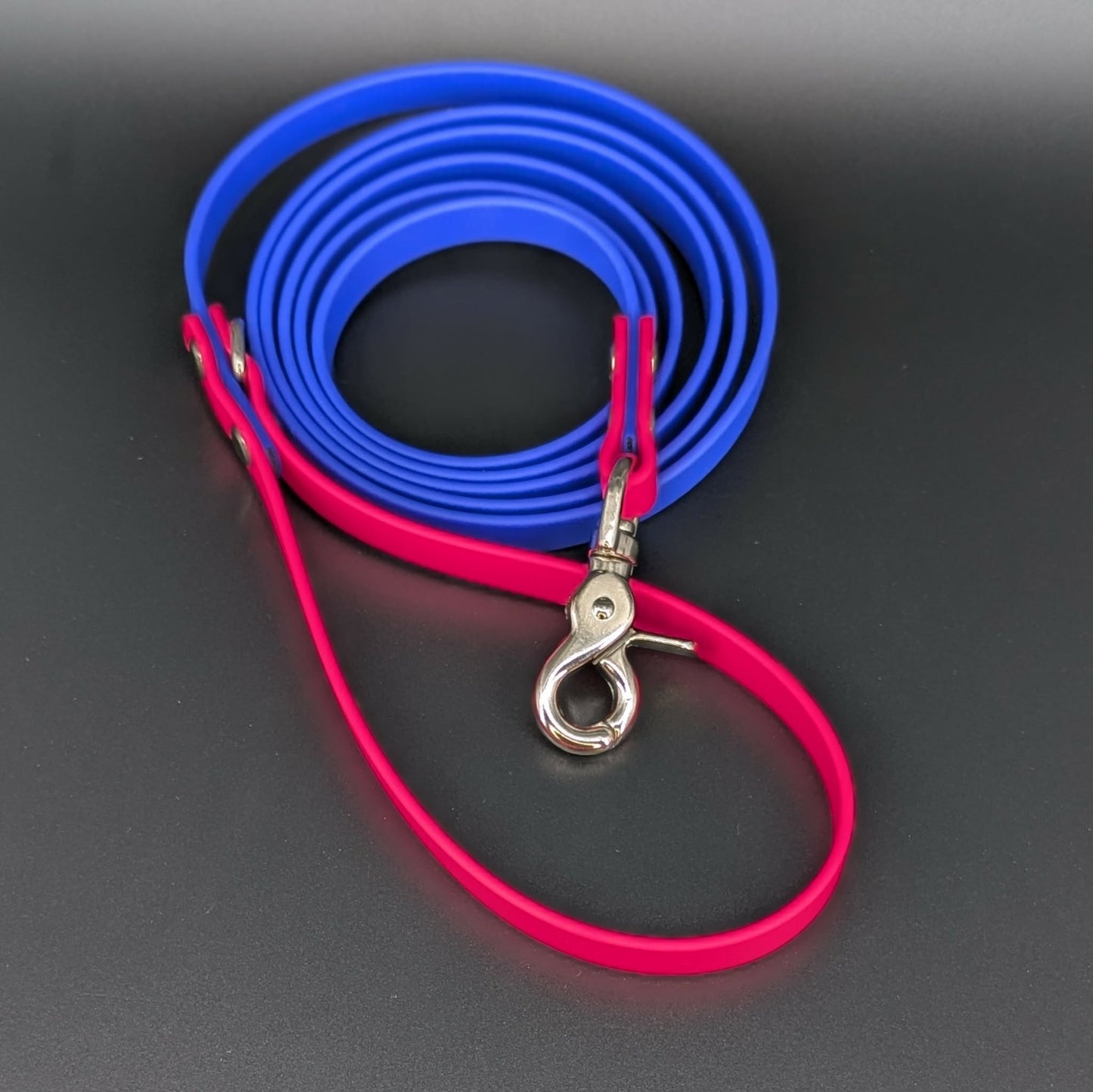 royal blue and pink biothane leash for dog