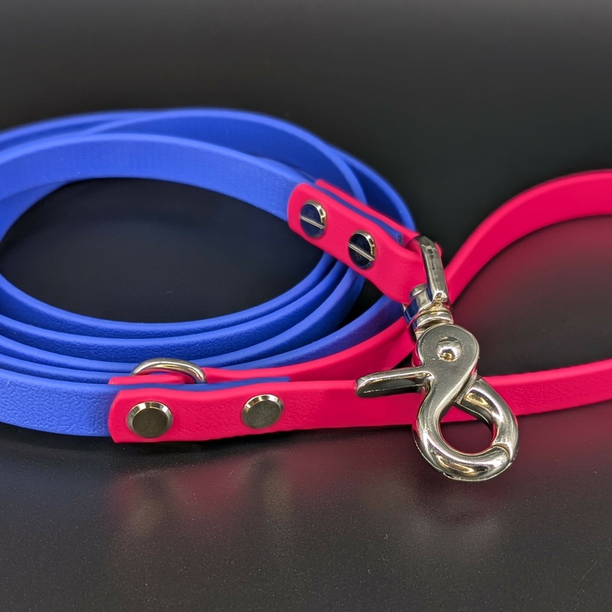 royal blue and pink biothane leash