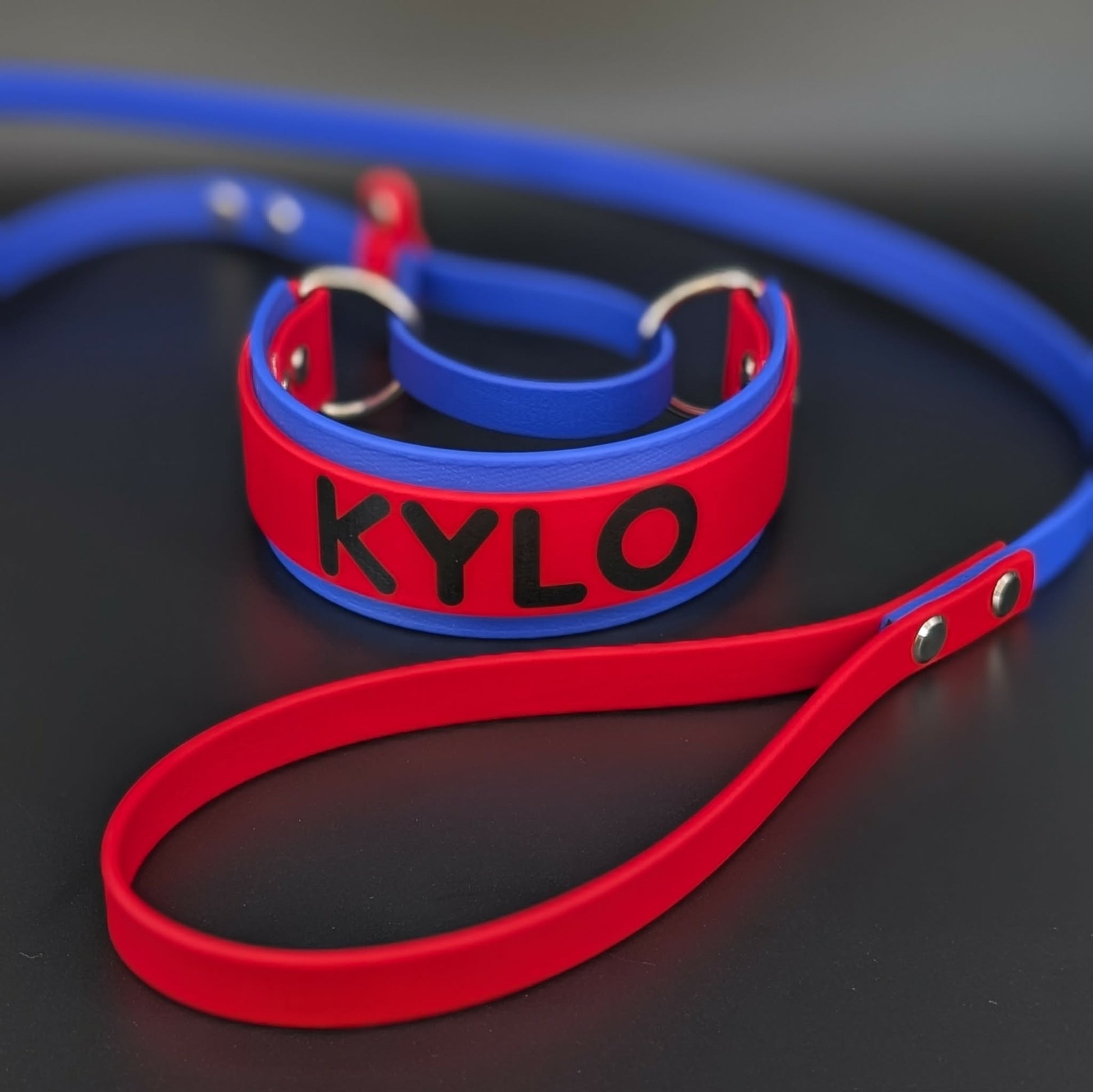 royal blue and red layered biothane French martingale with custom text