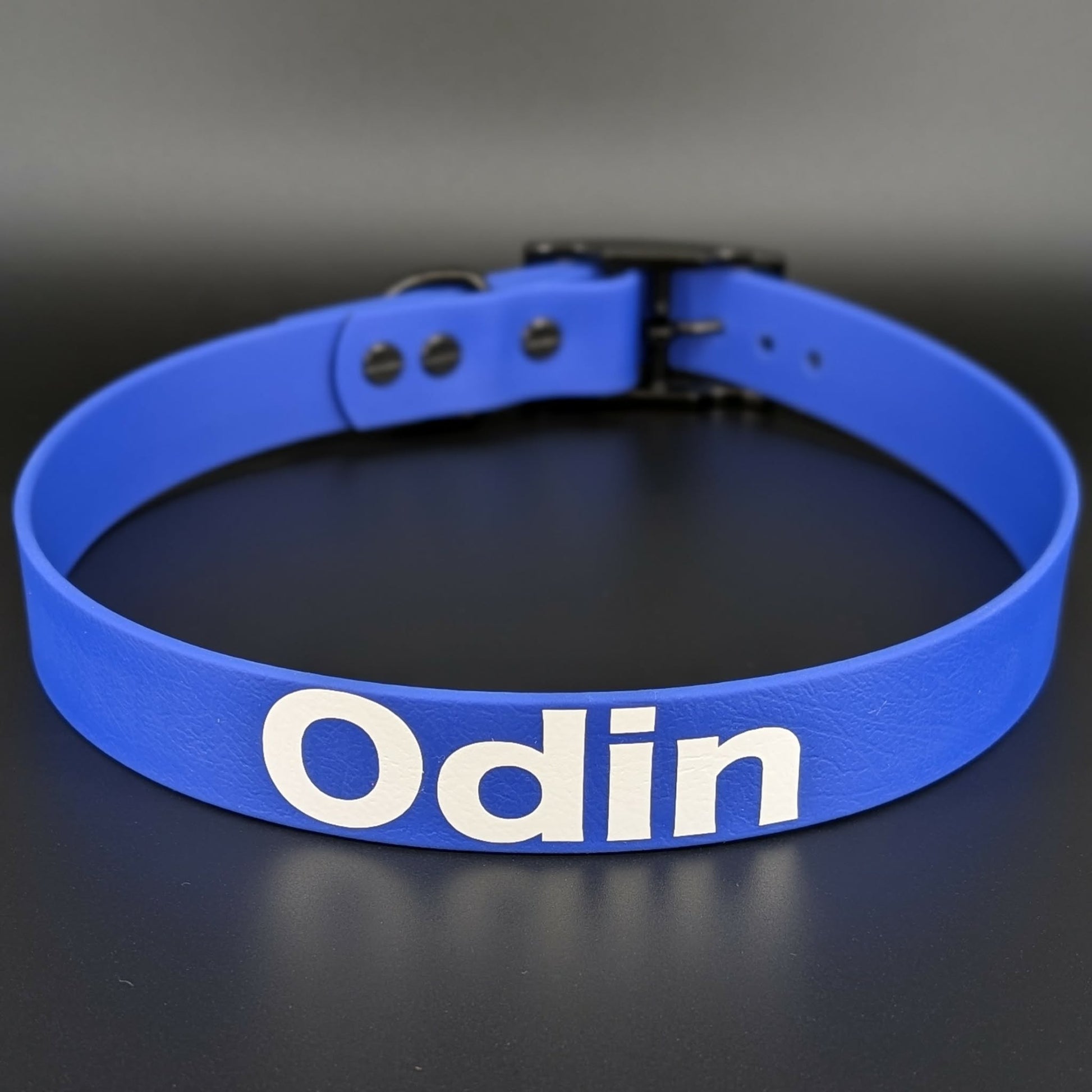 royal blue biothane dog collar with custom text