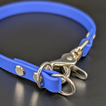 royal blue biothane slip collar with silver quick release clip