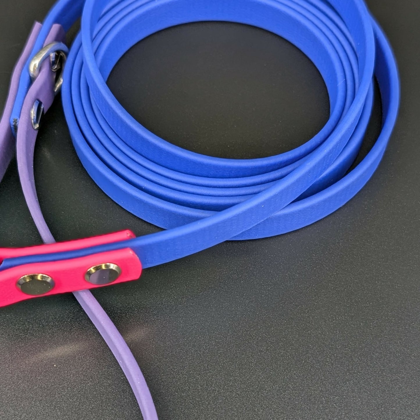 royal blue dark purple and pink biothane dog lead