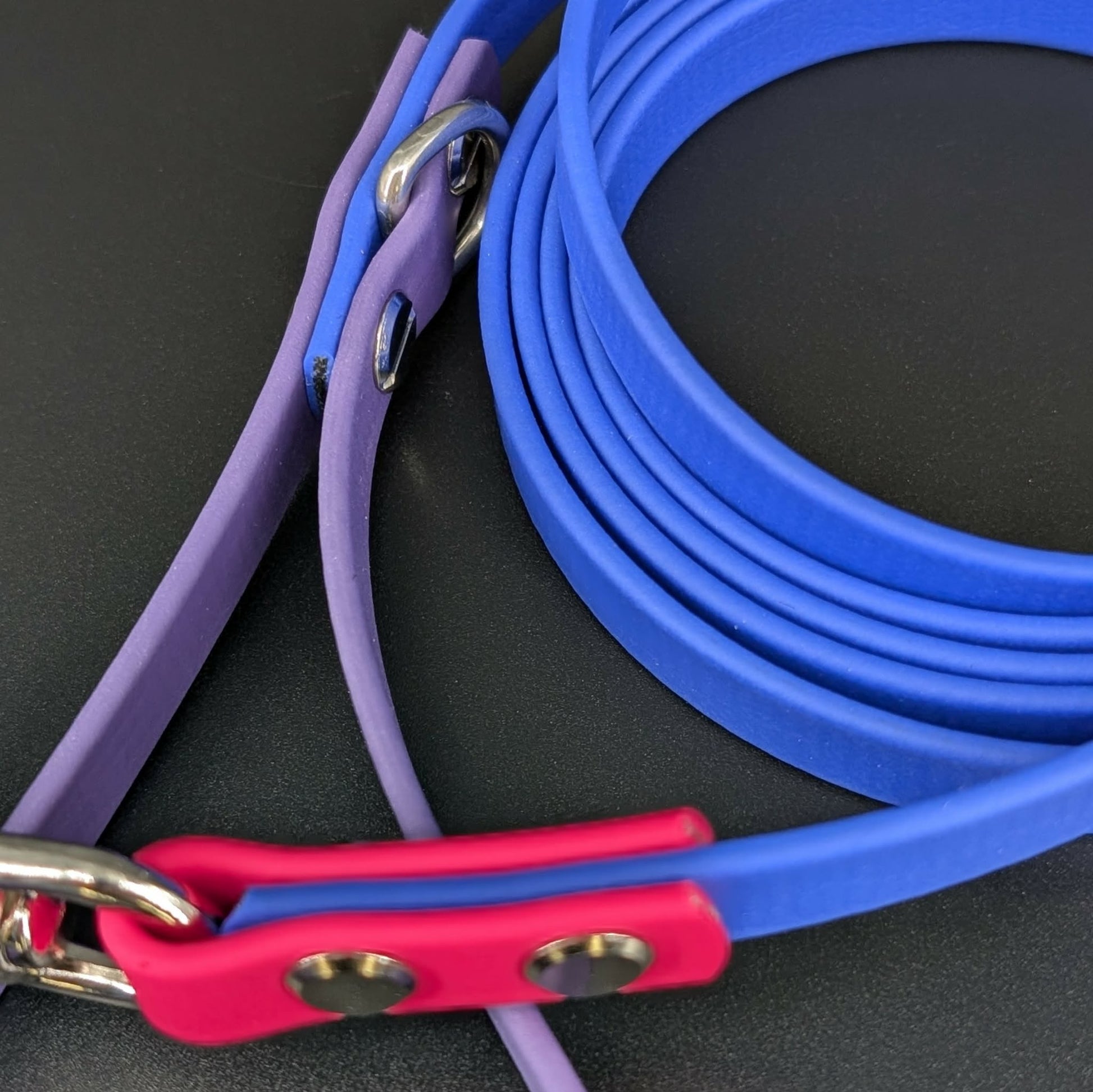 royal blue dark purple and pink biothane dog leash