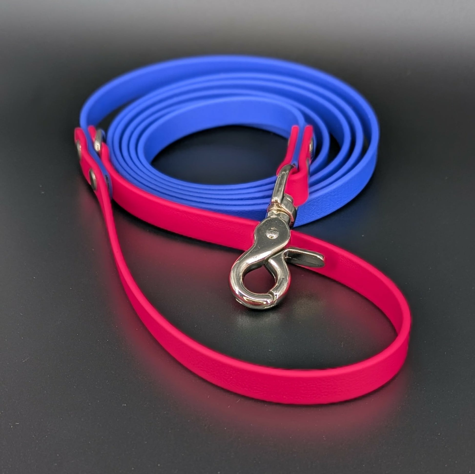 royal blue and pink biothane dog leash