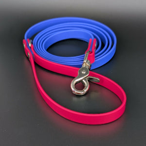royal blue and pink biothane dog leash