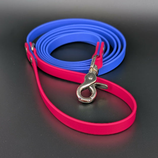 royal blue and pink biothane dog leash
