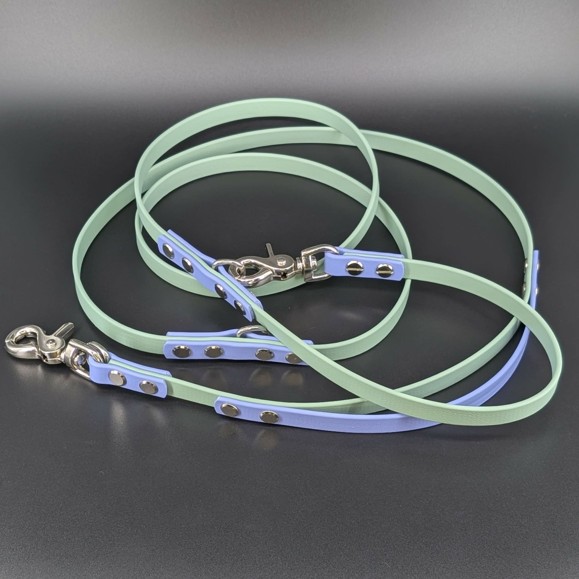 sage green and periwinkle blue biothane hands free dog leash with built-in traffic handle
