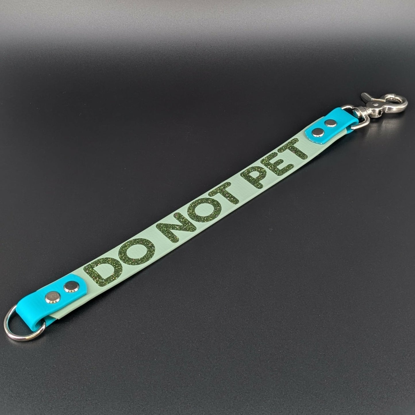 sage green and teal biothane leash extender with dark green glitter do not pet warning