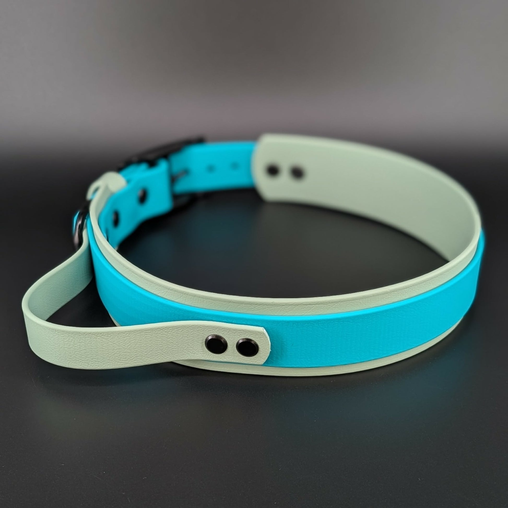 sage green and teal layered biothane handle collar