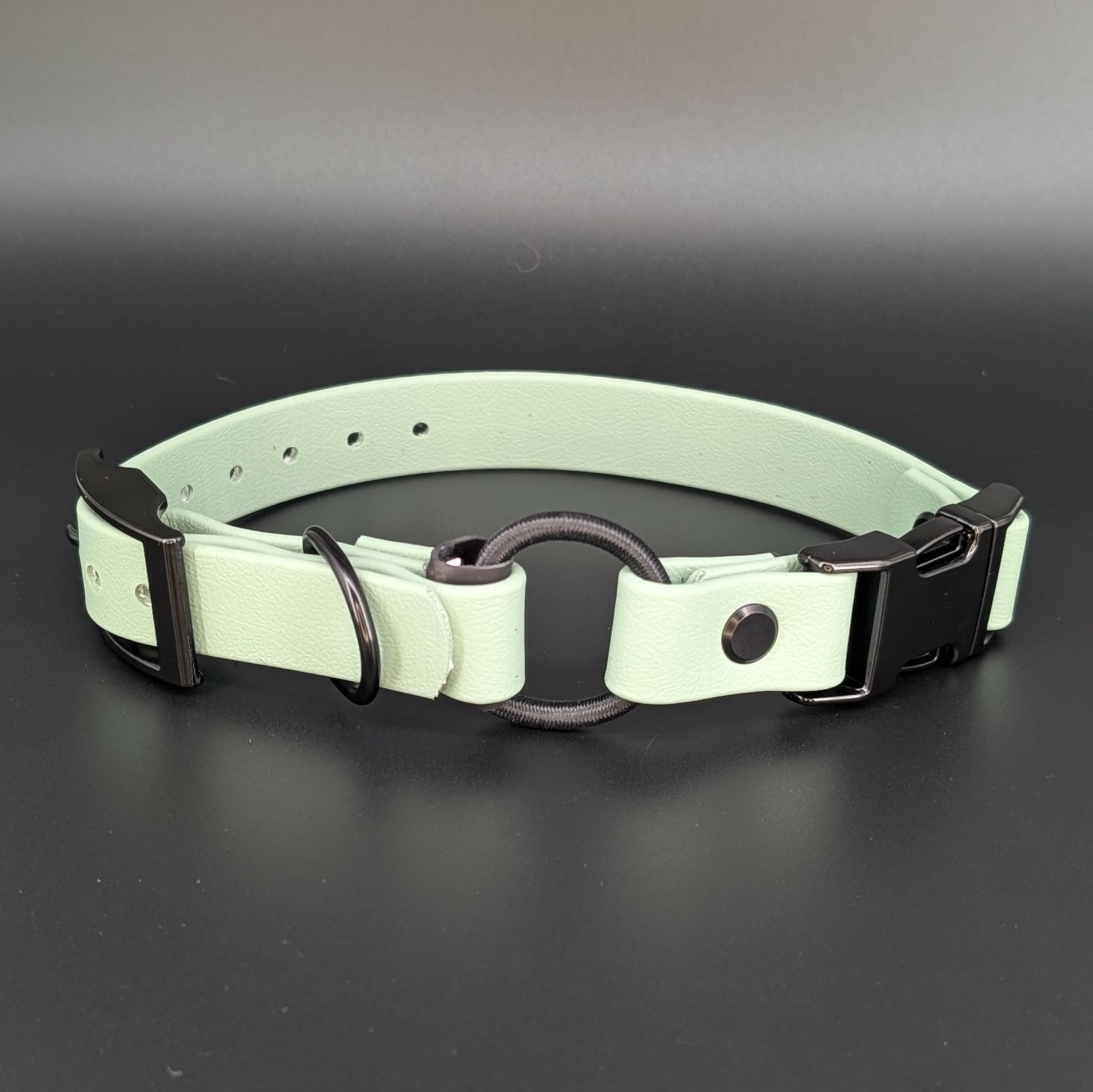 sage green biothane e-collar strap with bungee and quick release buckle