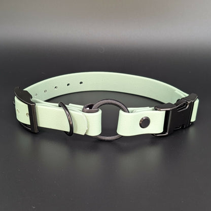 sage green biothane e-collar strap with bungee and quick release buckle