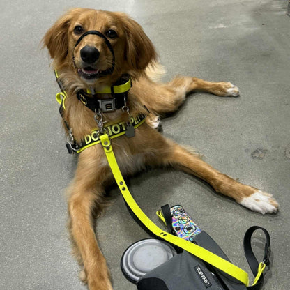 service dog wearing straight front service dog harness with do not pet text