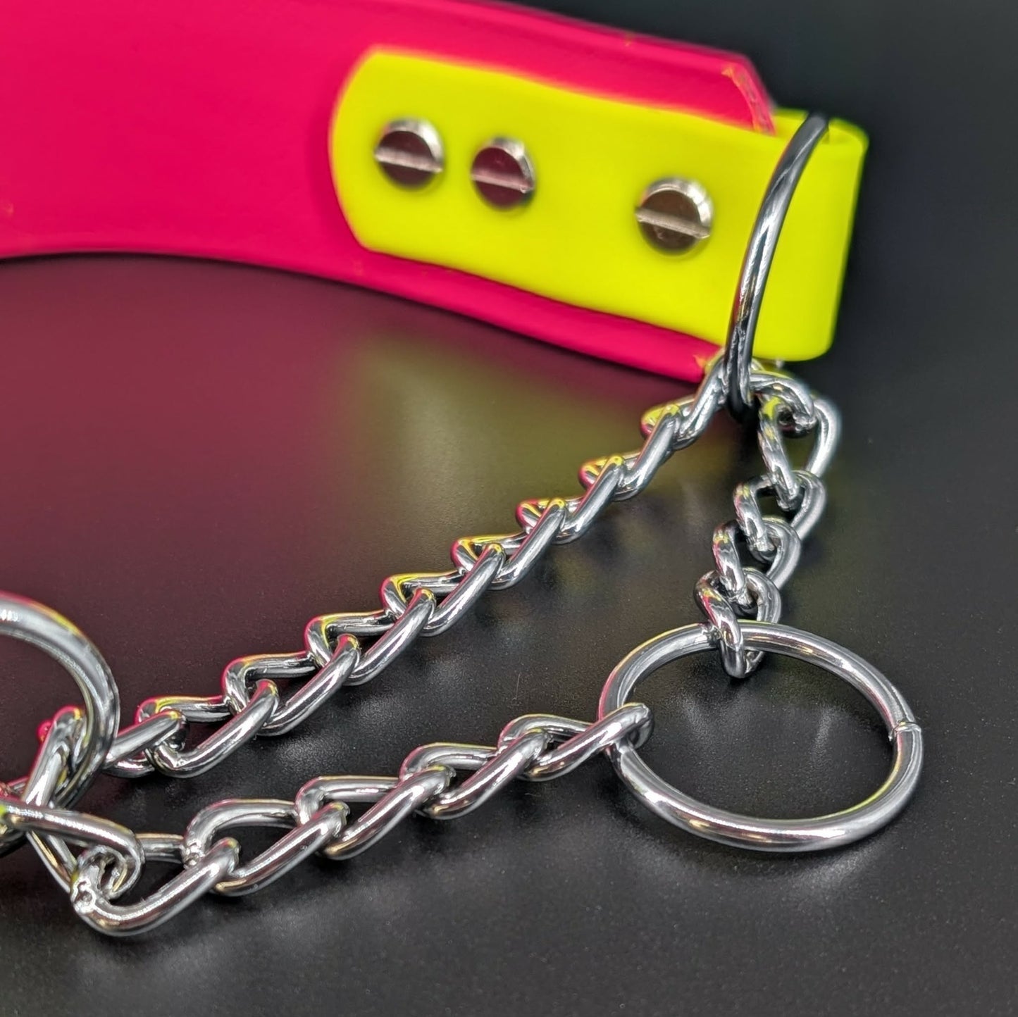 silver chain martingale on layered biothane dog collar