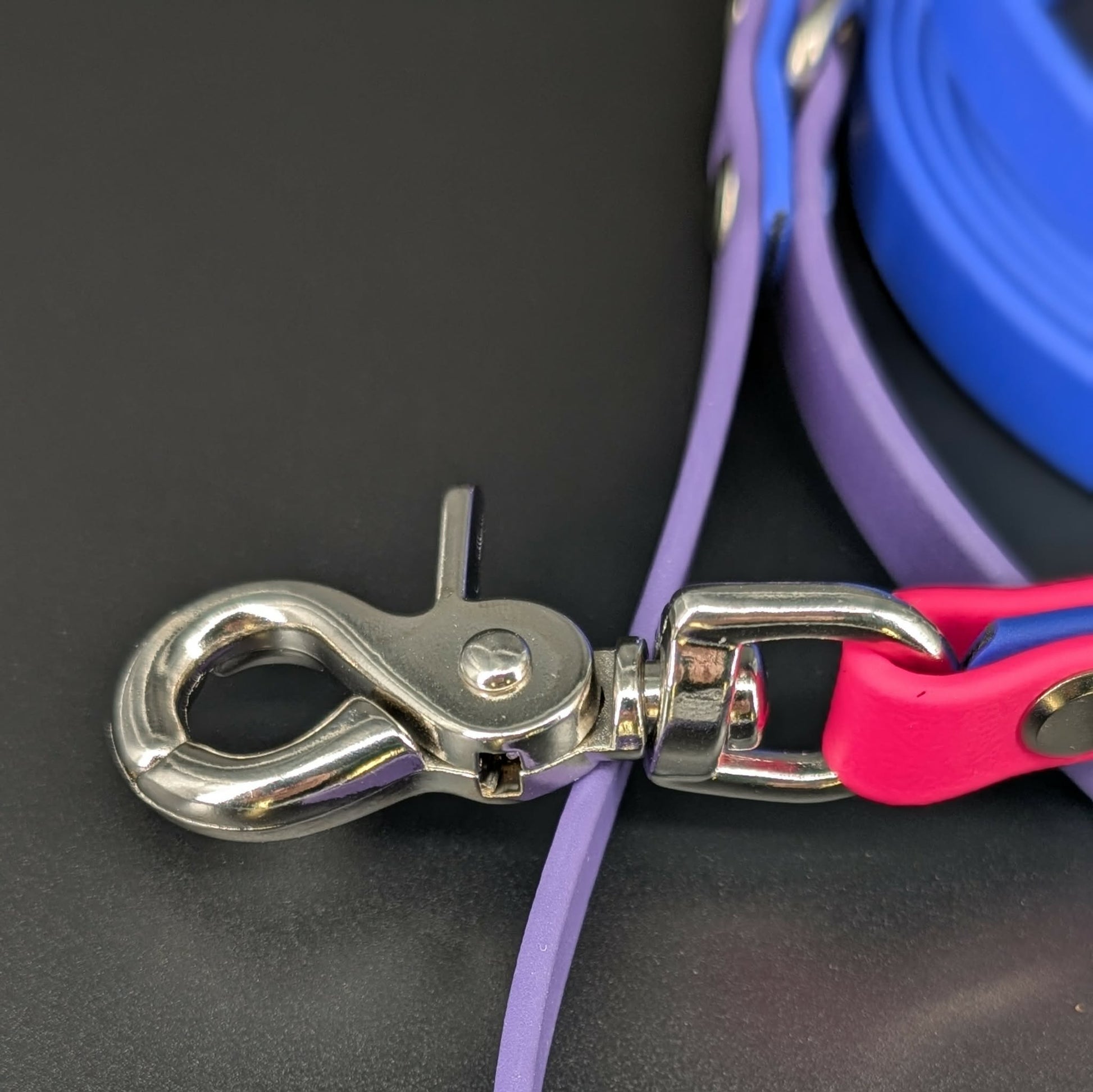 silver trigger snap on royal blue dark purple and pink biothane dog leash