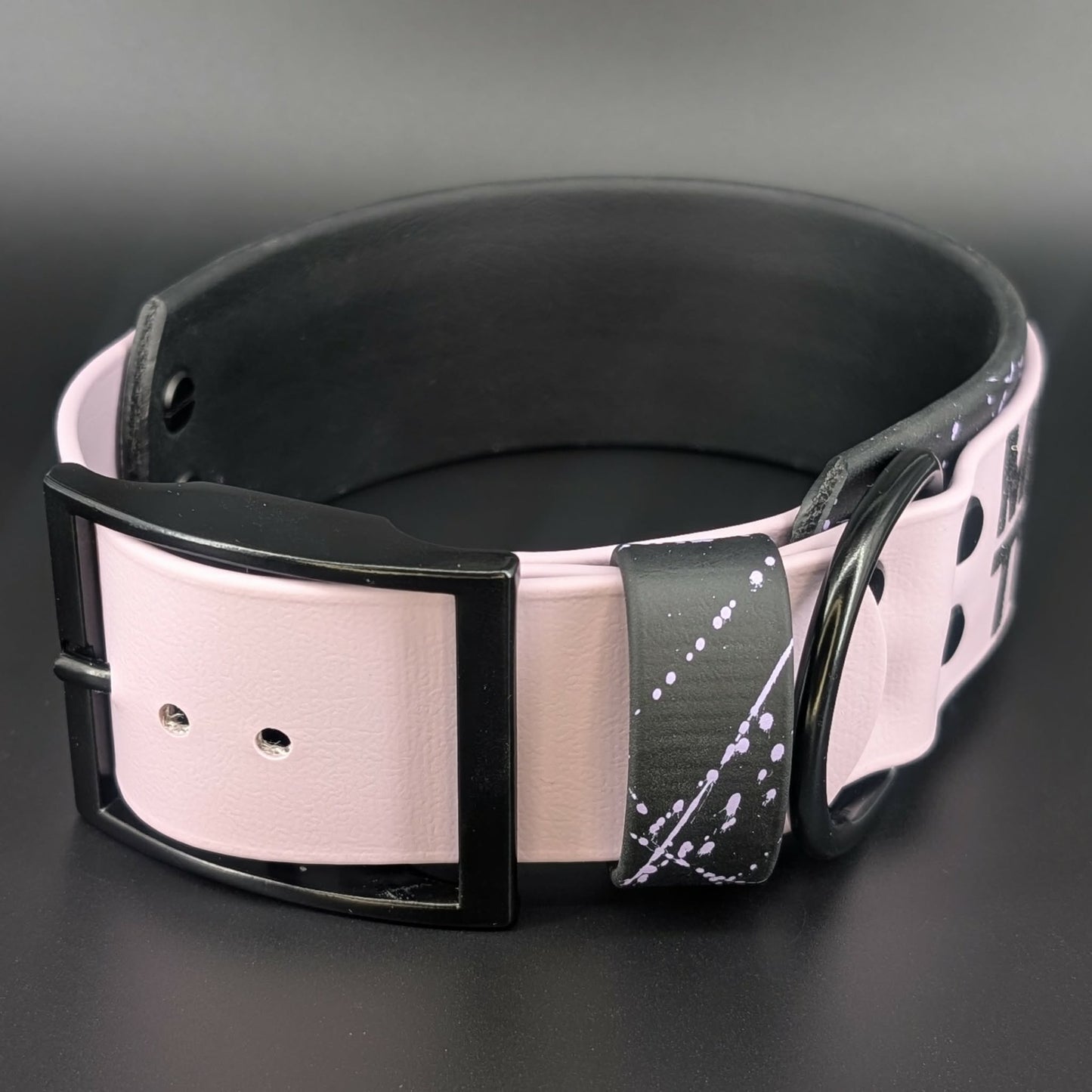 splatter paint on 2 inch wide black and lavender layered biothane collar