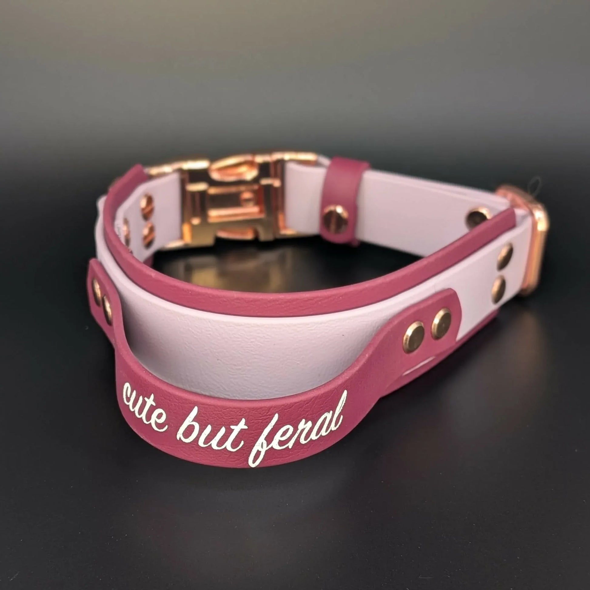 tactical handle biothane dog collar with quick release buckle cute but feral text