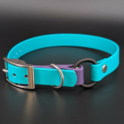 teal and dark purple biothane e-collar strap with bungee