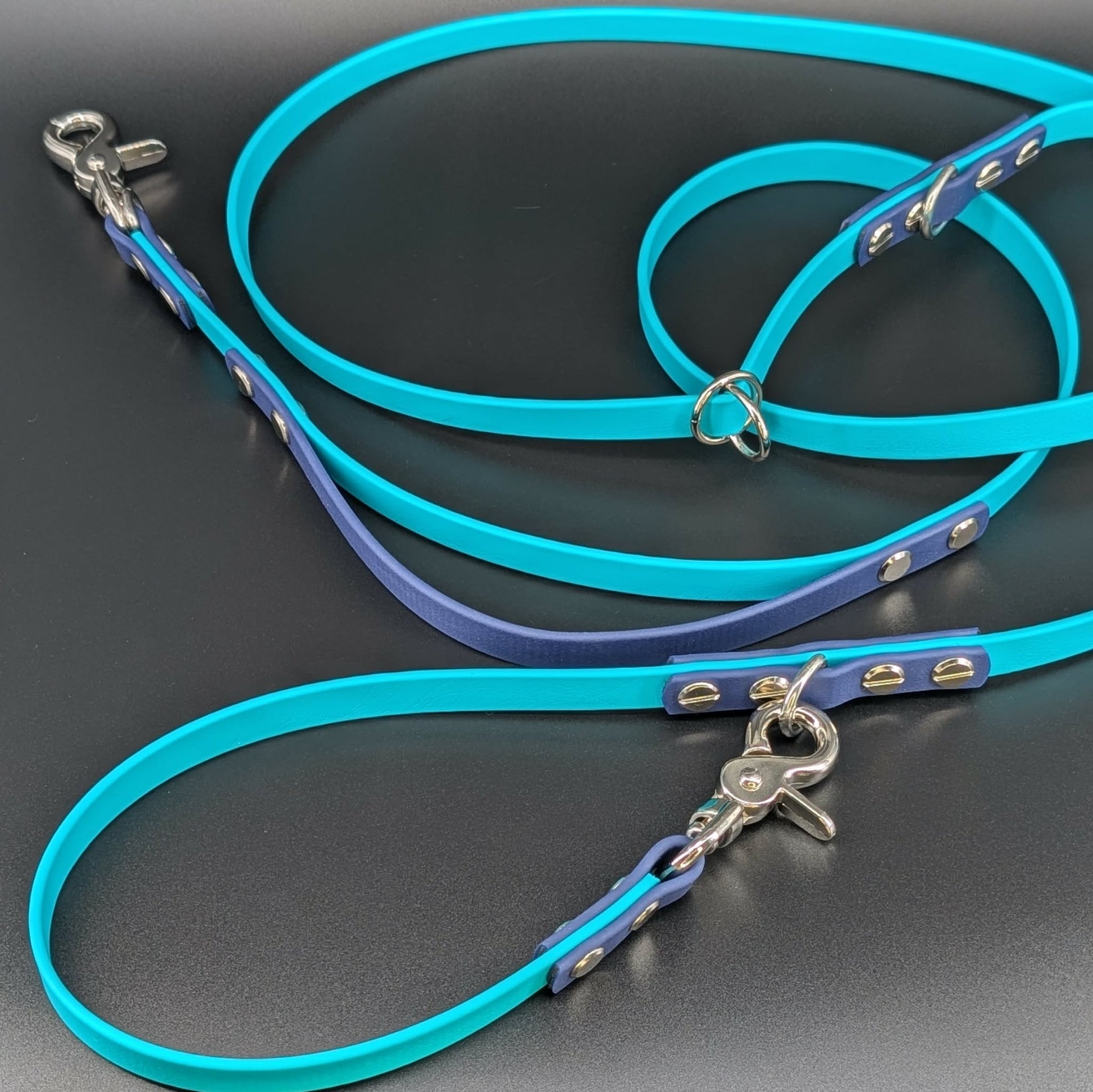teal and navy blue biothane hands free leash with traffic handle and adjustable waist attachment point