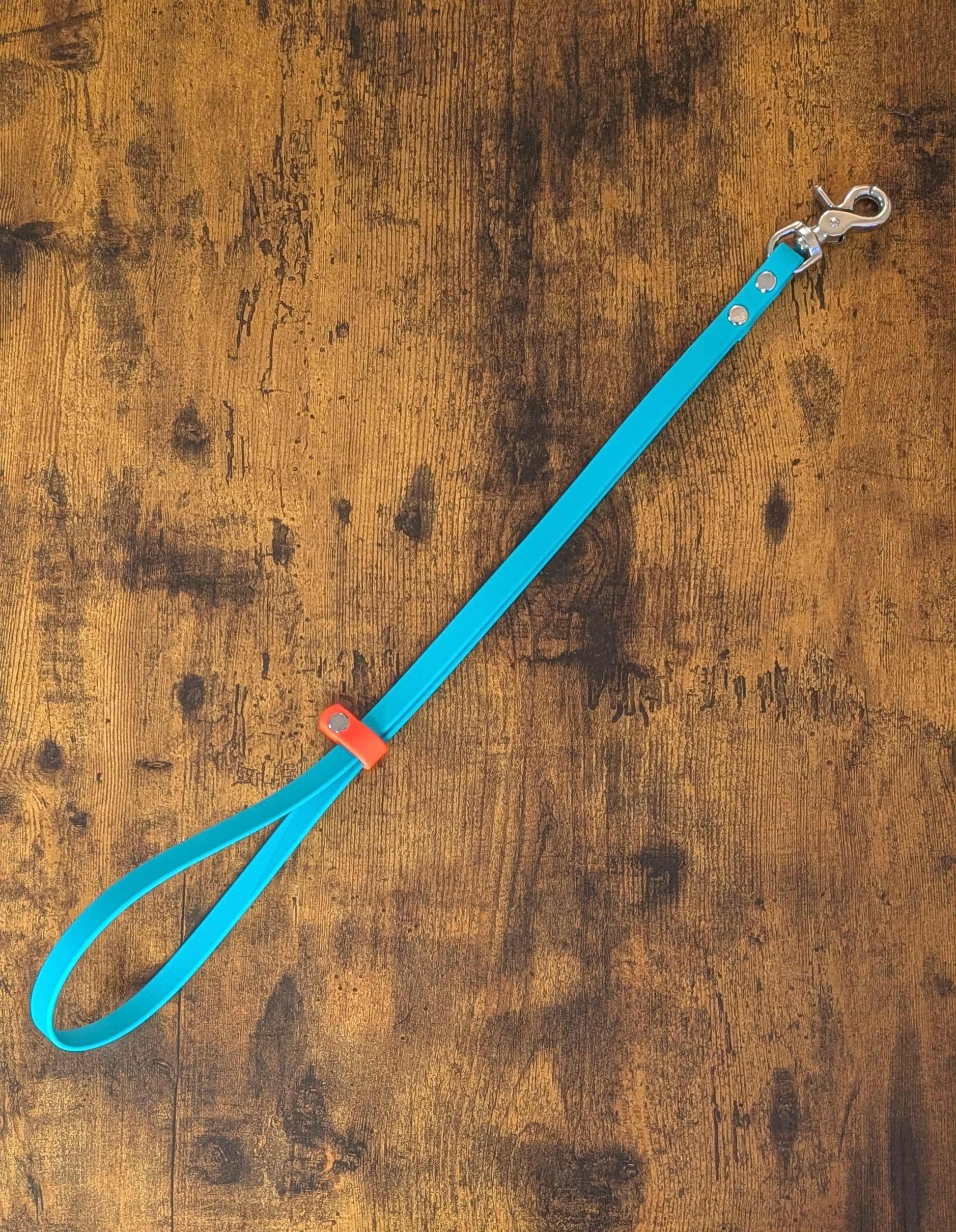 teal and orange biothane dog grooming loop