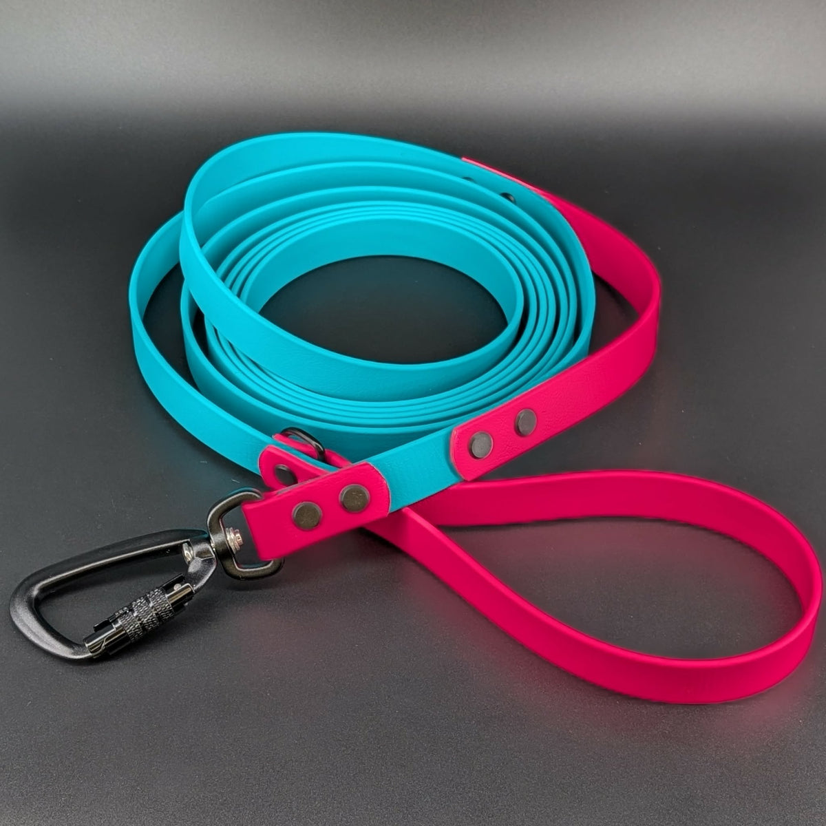 teal and pink biothane large dog leash with traffic handle and auto locking carabiner clip