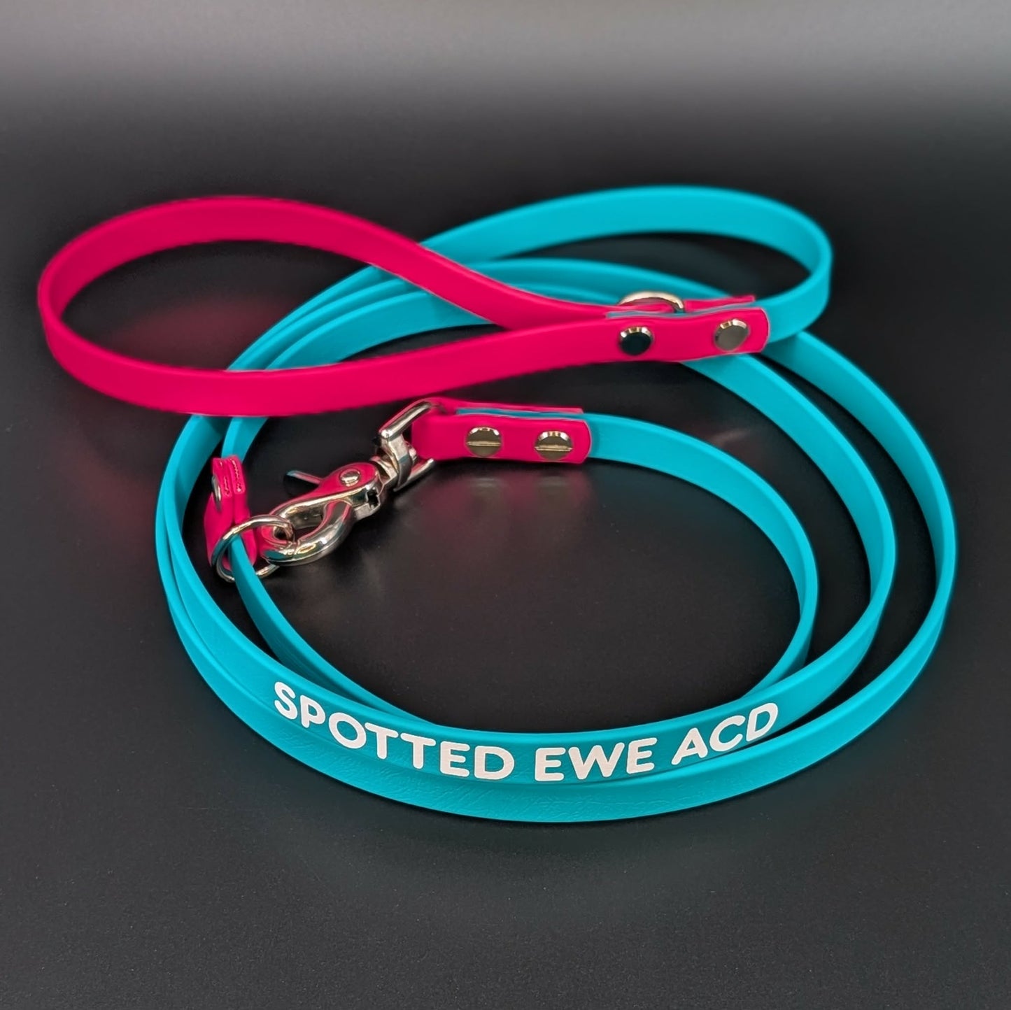 teal and pink biothane slip leash with convertible quick release clip and custom text