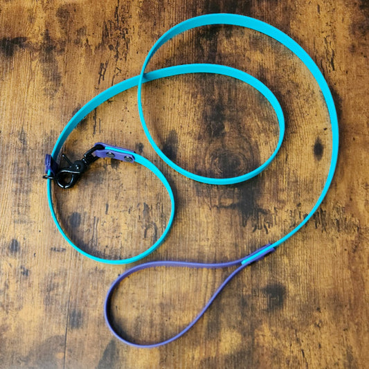 teal and purple biothane slip lead with quick release clip