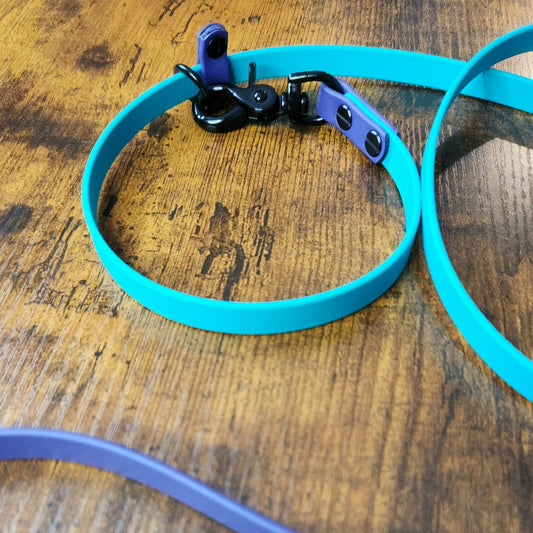 teal and purple biothane slip leash with quick release clip