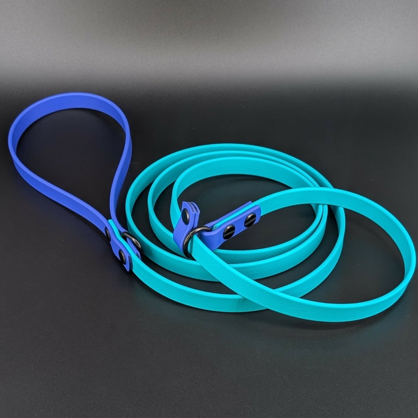 teal and royal blue biothane slip leash for dog training