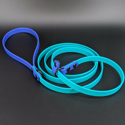 teal and royal blue biothane slip leash for dog training