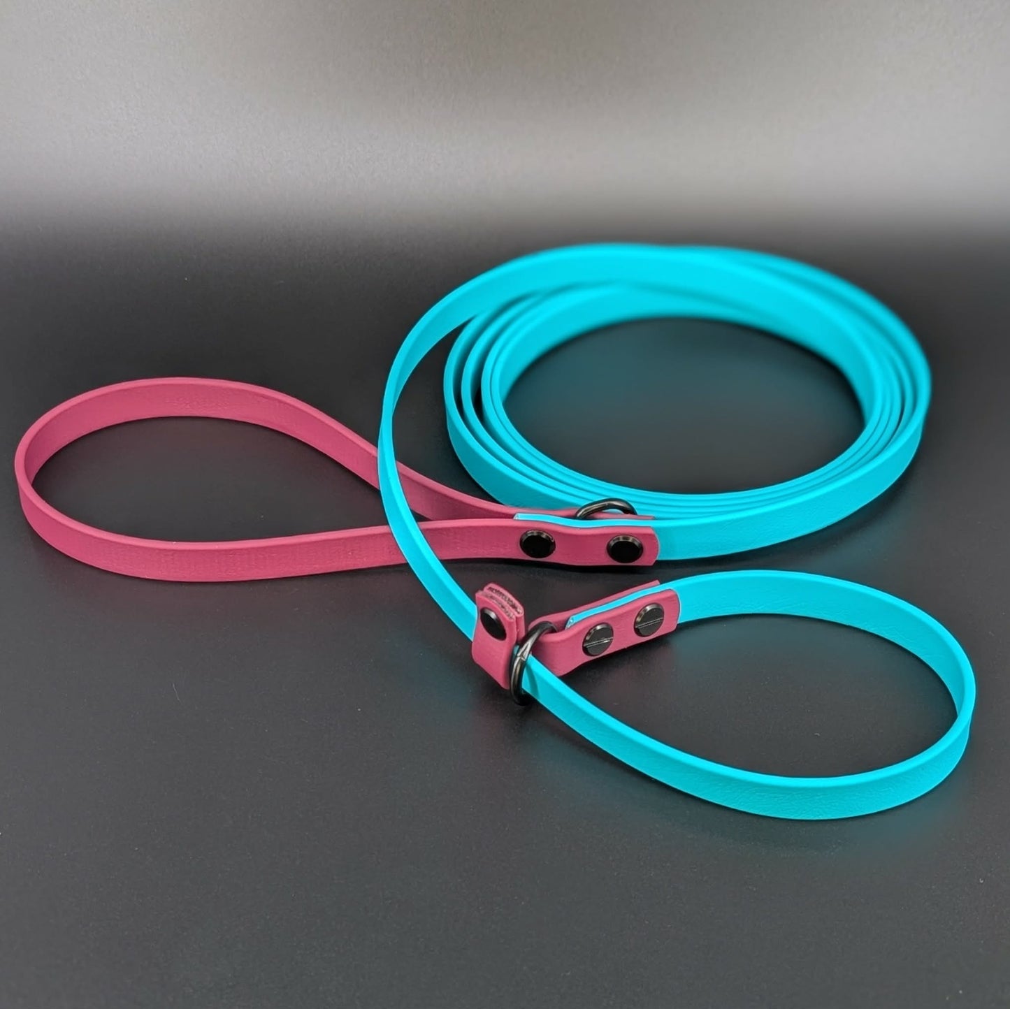 teal and wine biothane slip leash