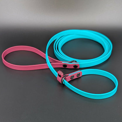 teal and wine biothane slip leash