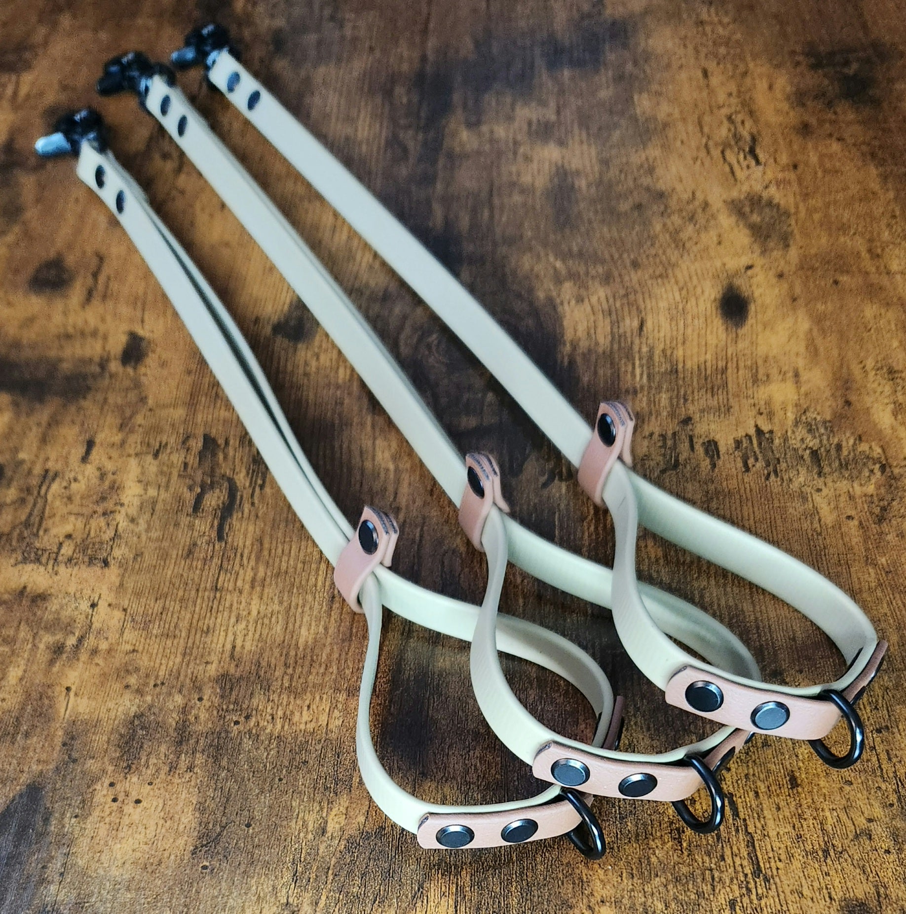 two tone biothane dog grooming loop with fixed d ring for extra security