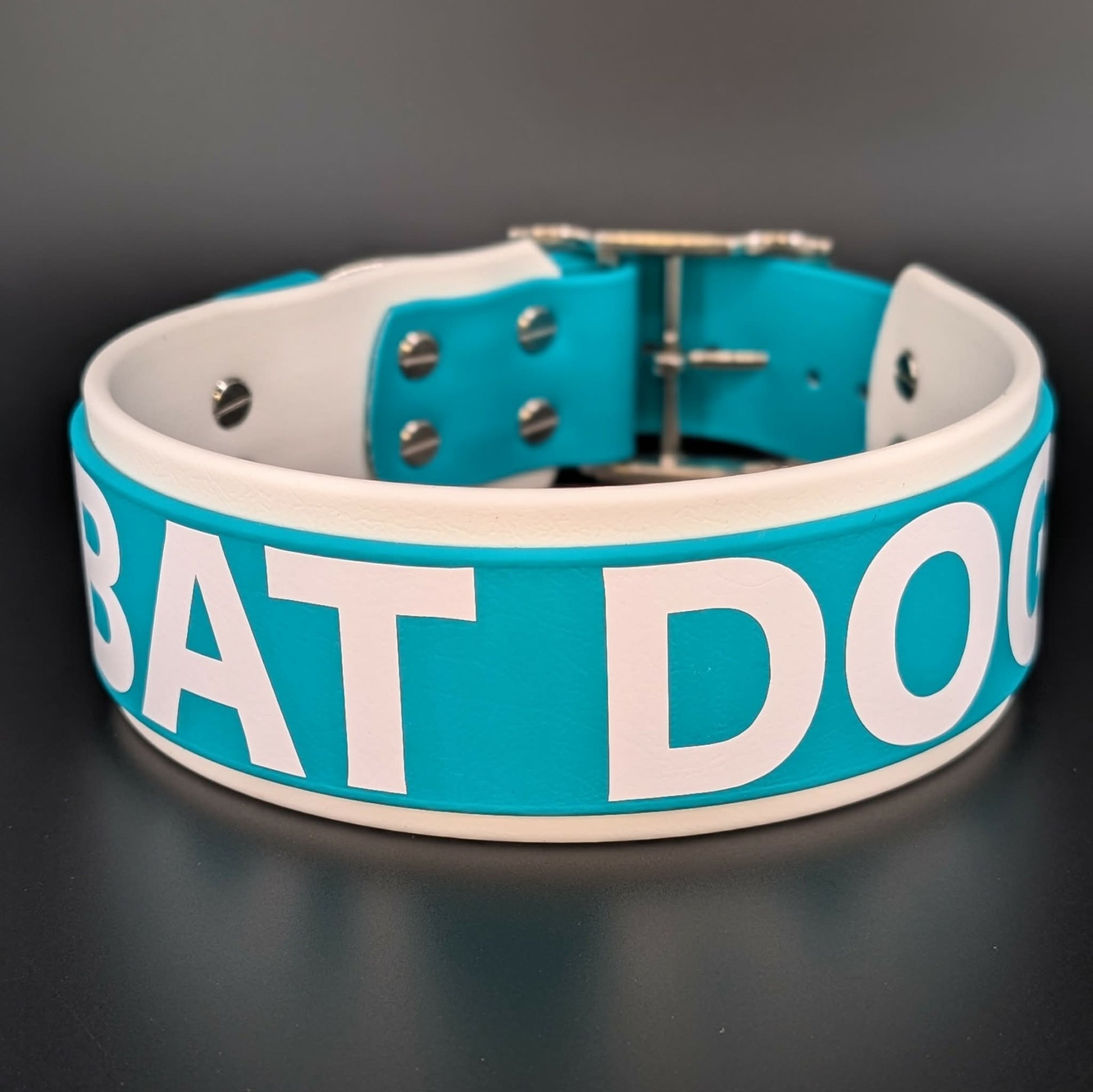white and teal layered biothane collar bat dog