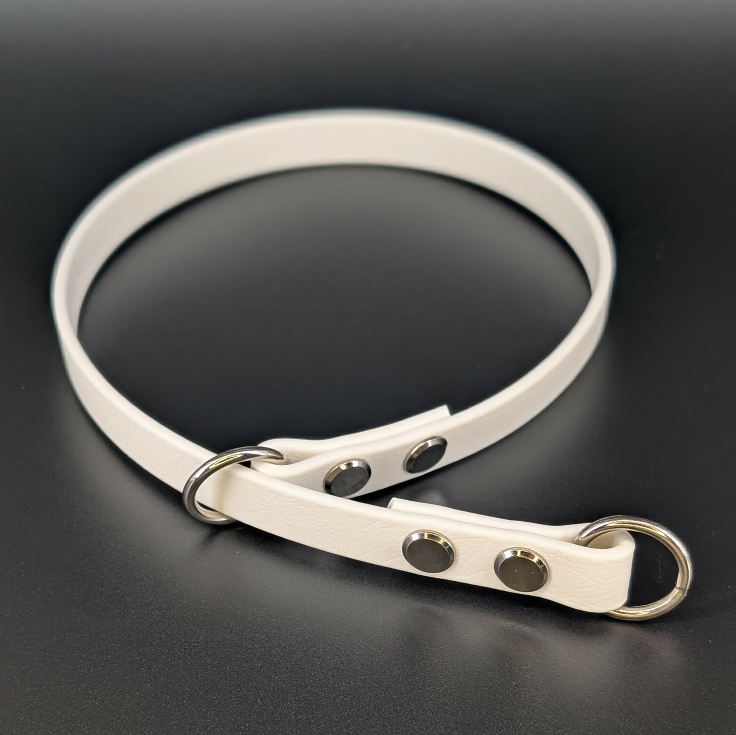 white biothane slip collar silver hardware