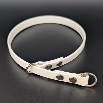 white biothane slip collar silver hardware